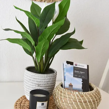 Charming With Terrace 5 Minutes From Murten Appartamento *
