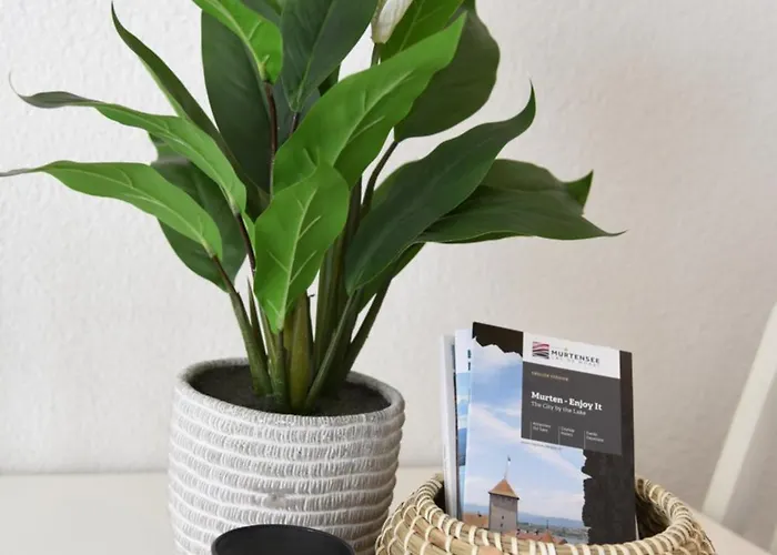 Charming With Terrace 5 Minutes From Murten Apartamento *